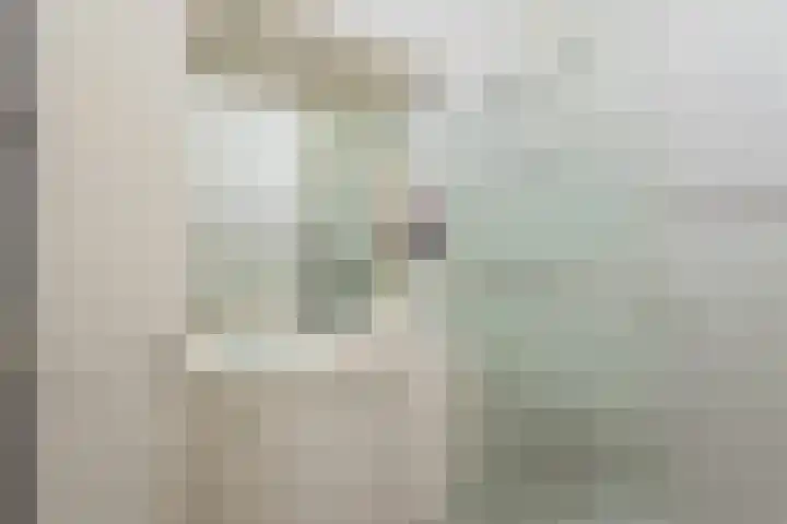 Nienoordshaven 39 Leek thumbnail 32