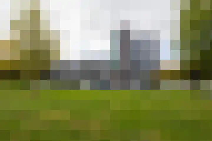 Nienoordshaven 39 Leek thumbnail 37