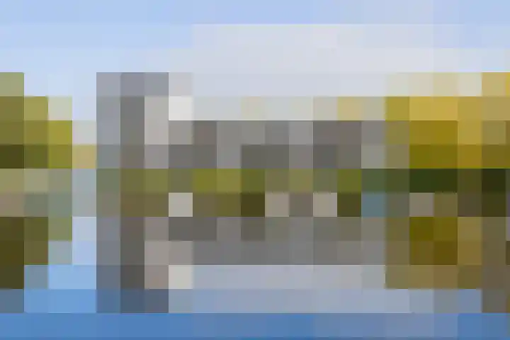 Nienoordshaven 39 Leek thumbnail 39