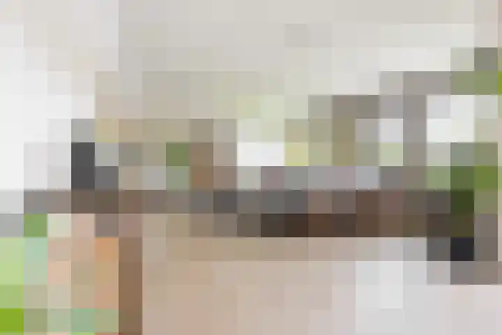 Nienoordshaven 39 Leek thumbnail 4