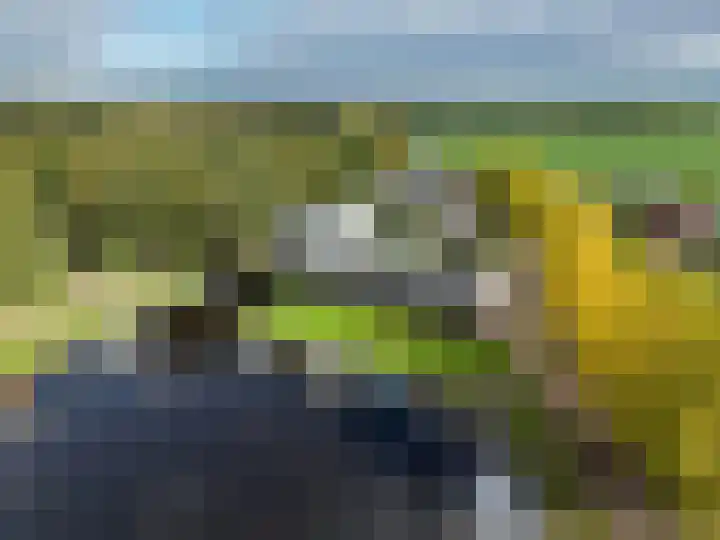 Nienoordshaven 39 Leek thumbnail 40