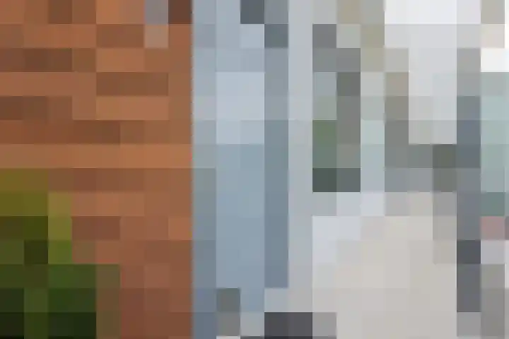 Nienoordshaven 39 Leek thumbnail 8