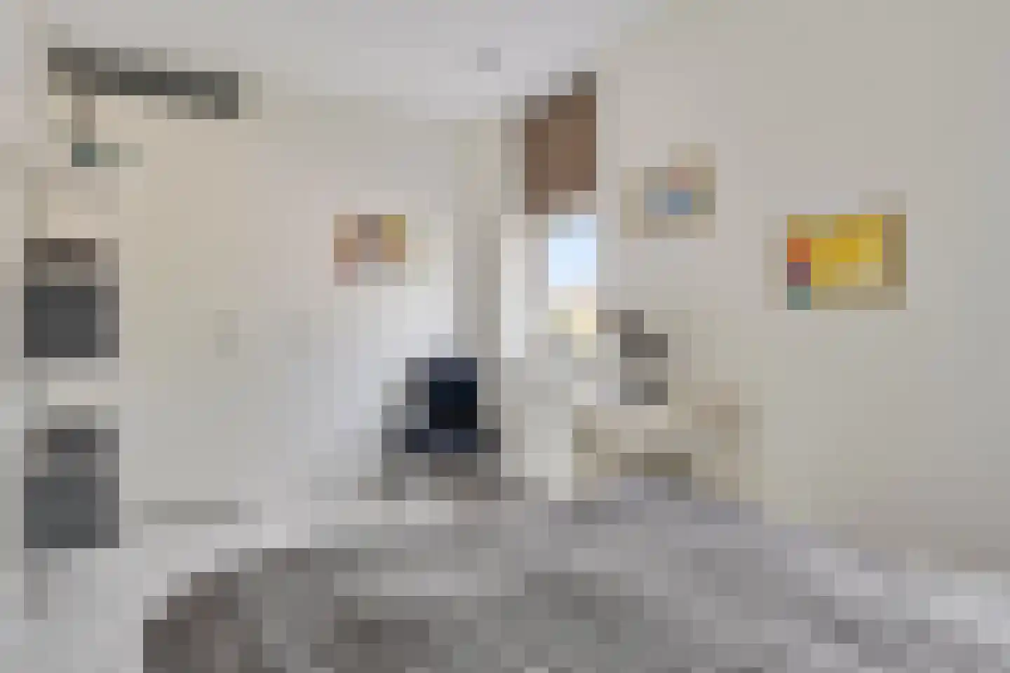 Nienoordstede 19 's-Hertogenbosch thumbnail 35