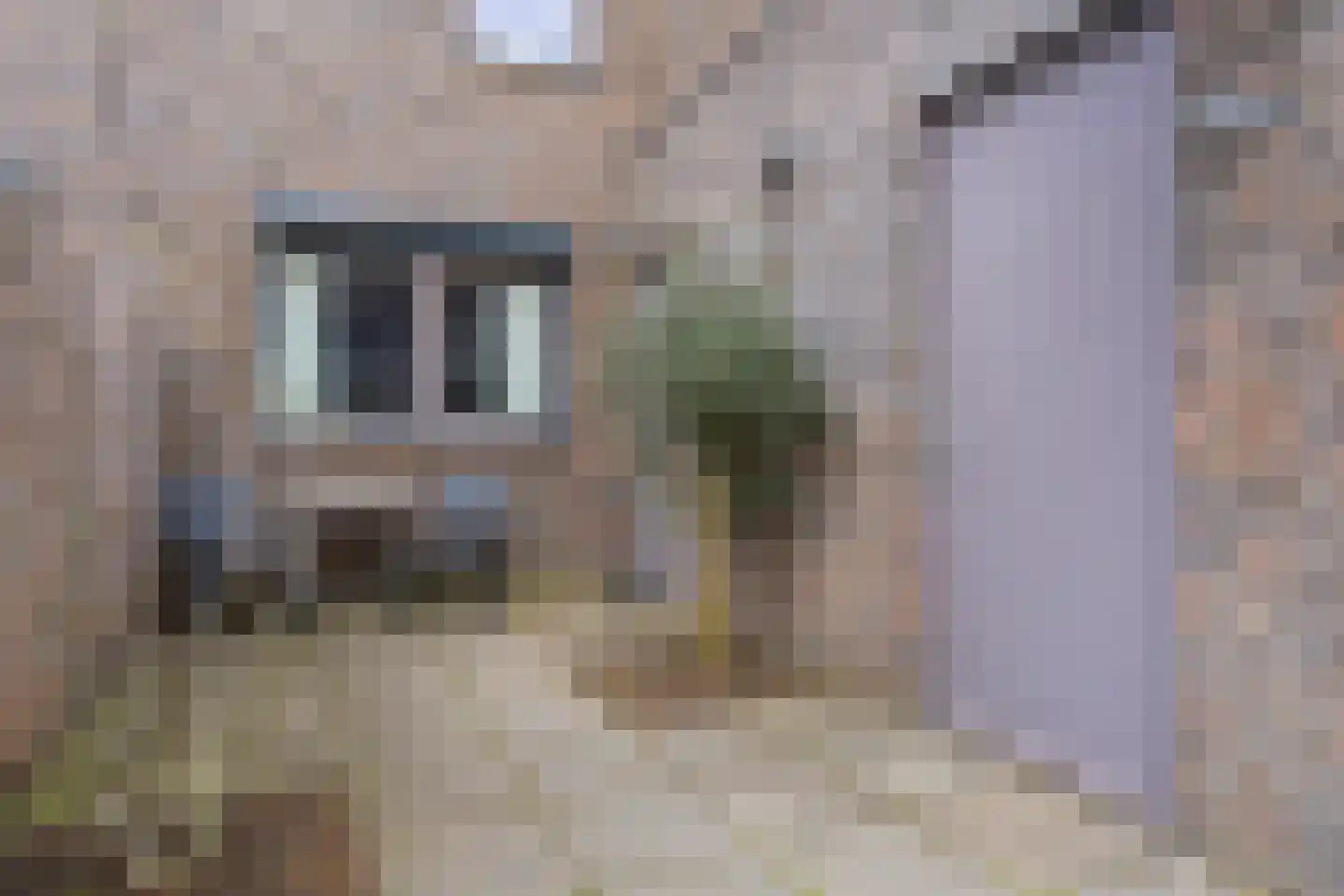 Nienoordstede 19 's-Hertogenbosch thumbnail 38