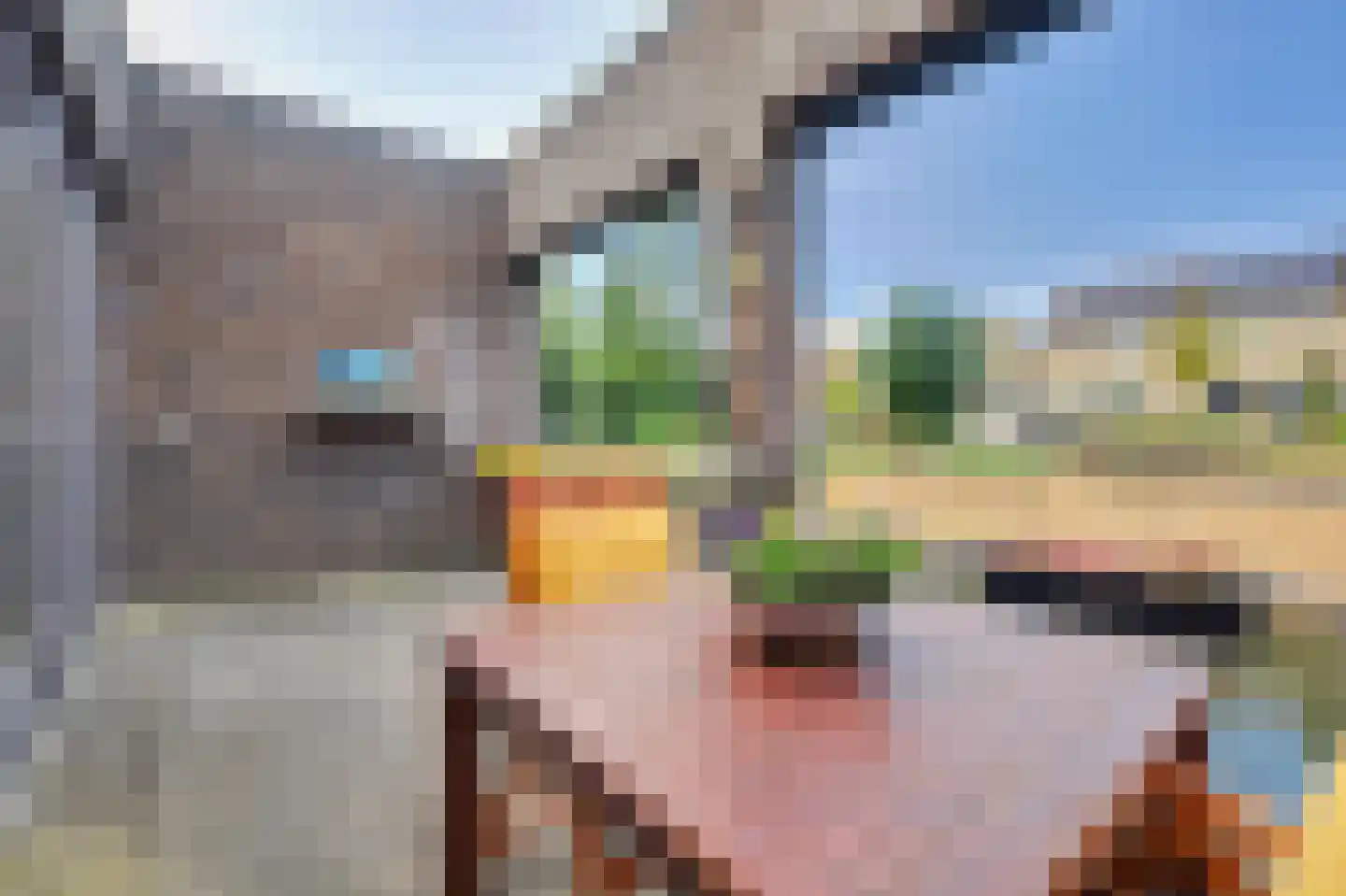 Nienoordstede 29 's-Hertogenbosch thumbnail 31