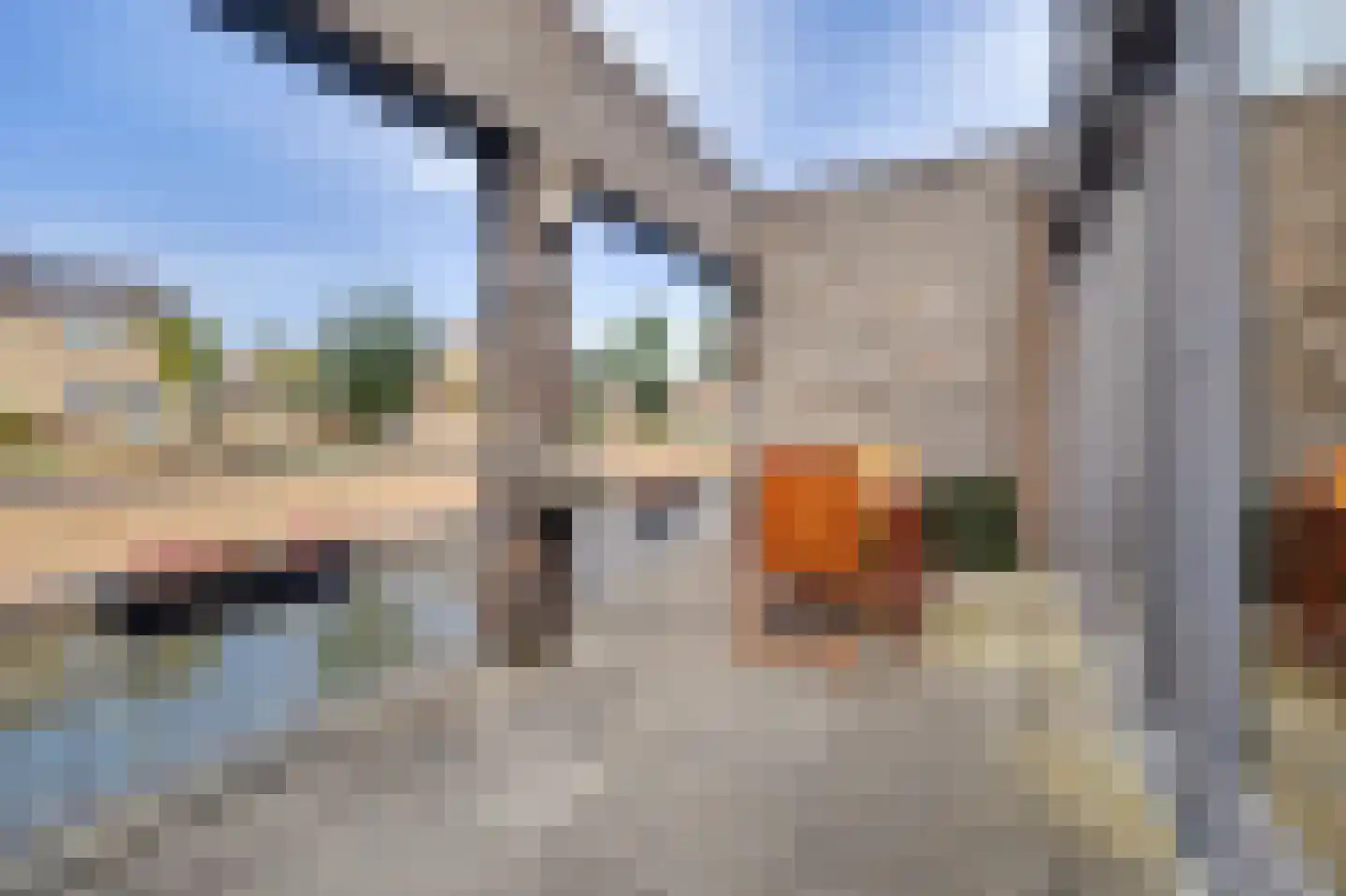 Nienoordstede 29 's-Hertogenbosch thumbnail 33