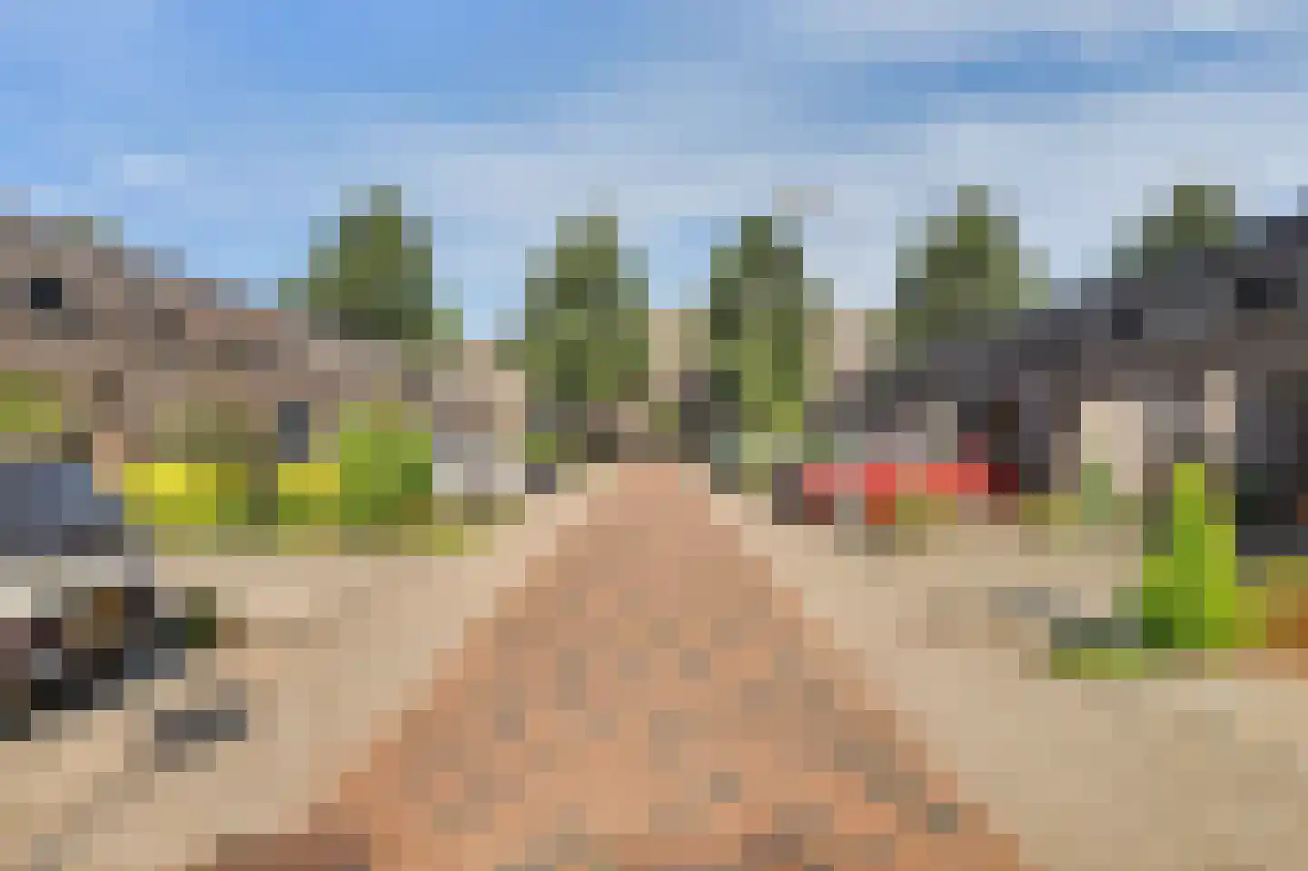 Nienoordstede 29 's-Hertogenbosch thumbnail 40
