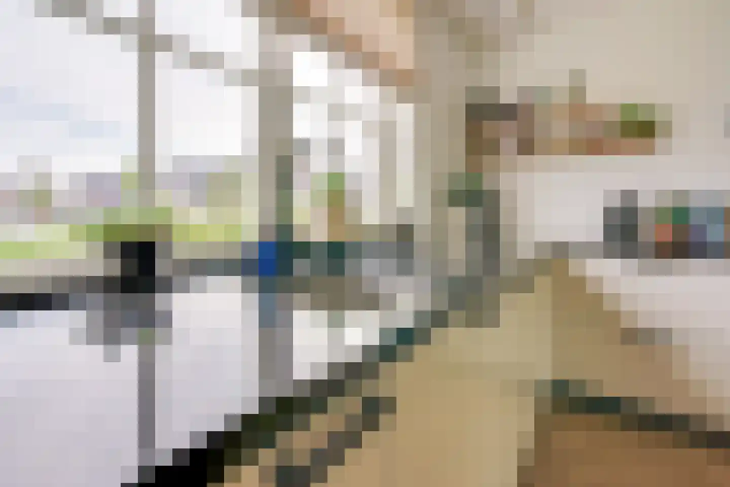 Nierdolk 4 Odijk thumbnail 15