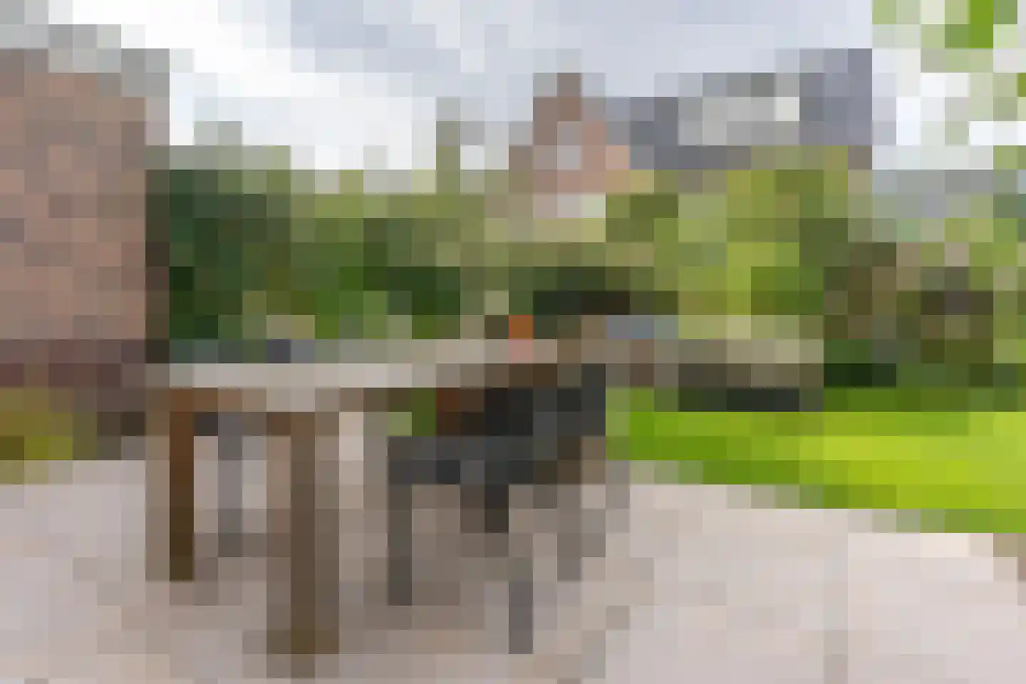 Nierdolk 4 Odijk thumbnail 18