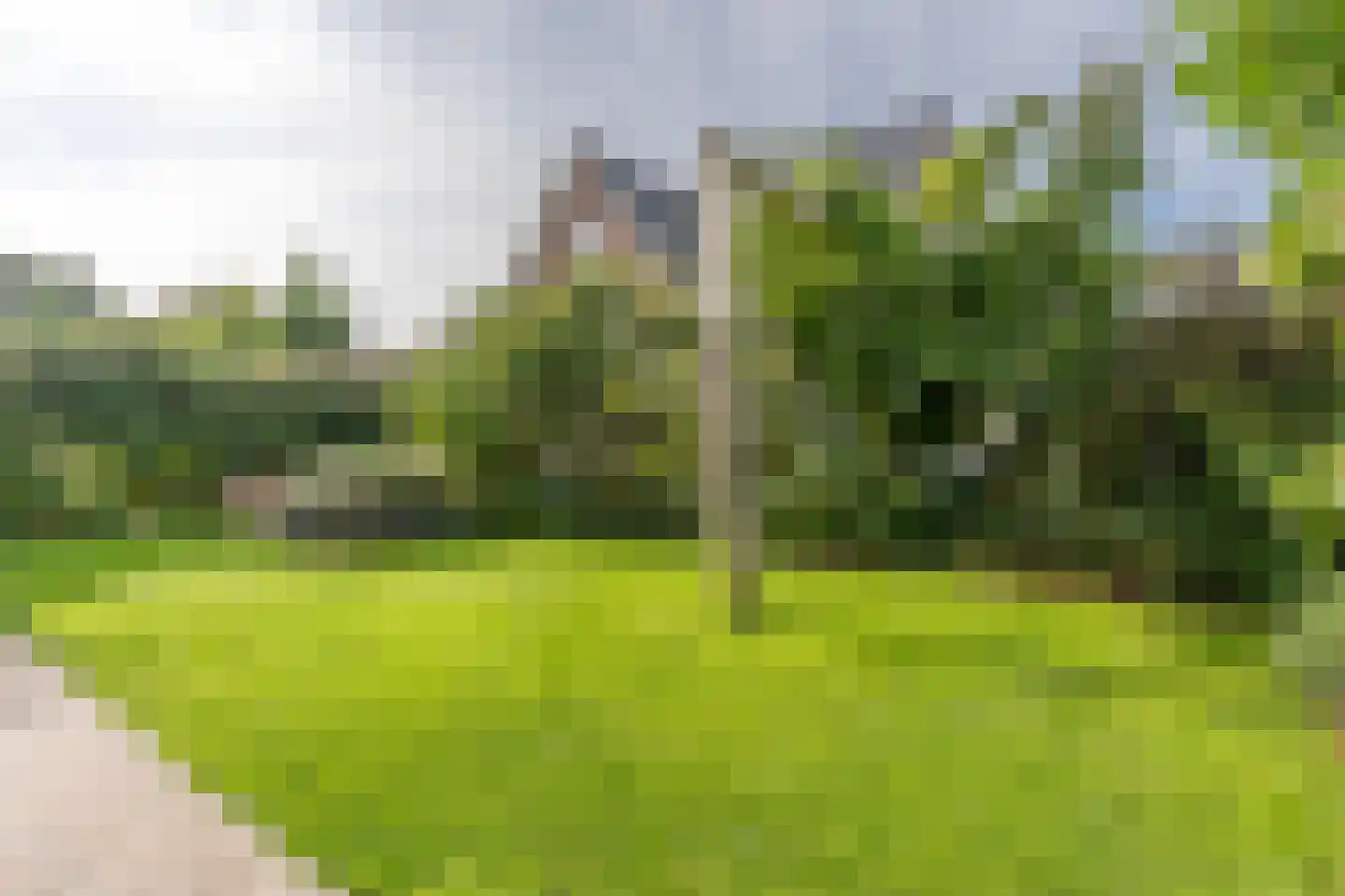Nierdolk 4 Odijk thumbnail 21