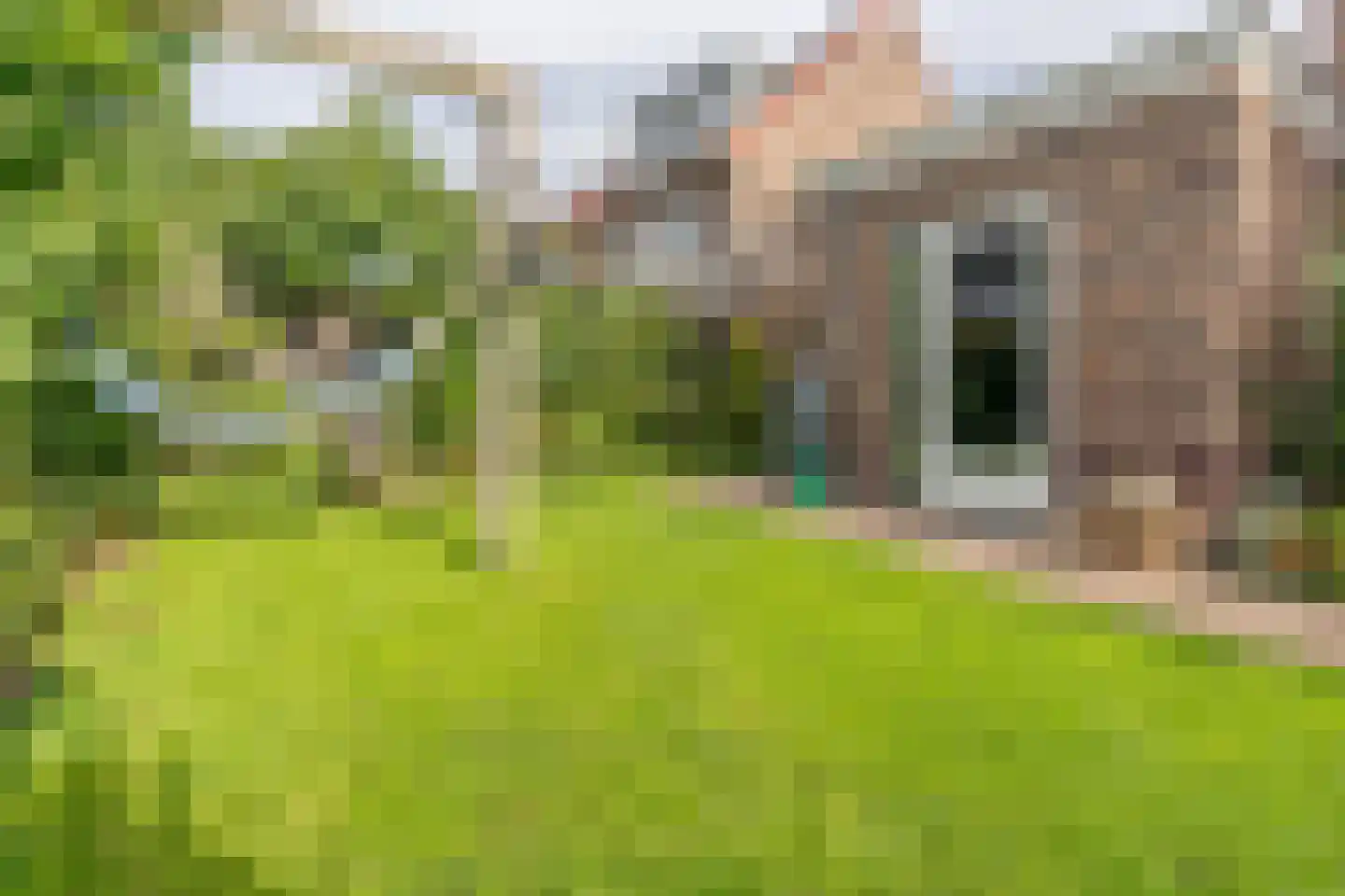 Nierdolk 4 Odijk thumbnail 22