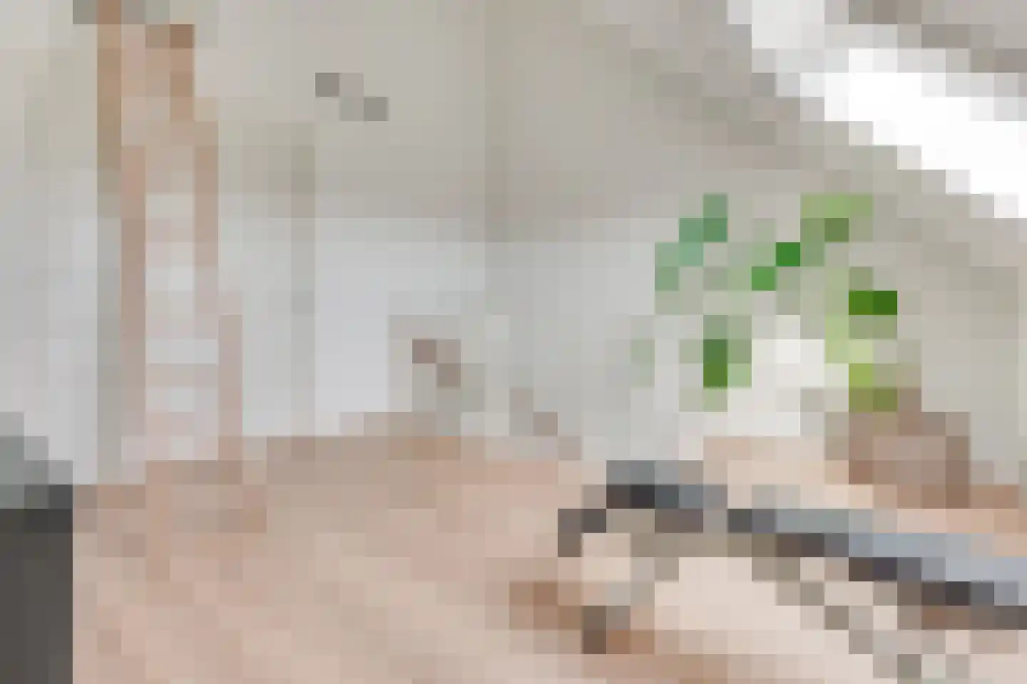Nierdolk 4 Odijk thumbnail 37