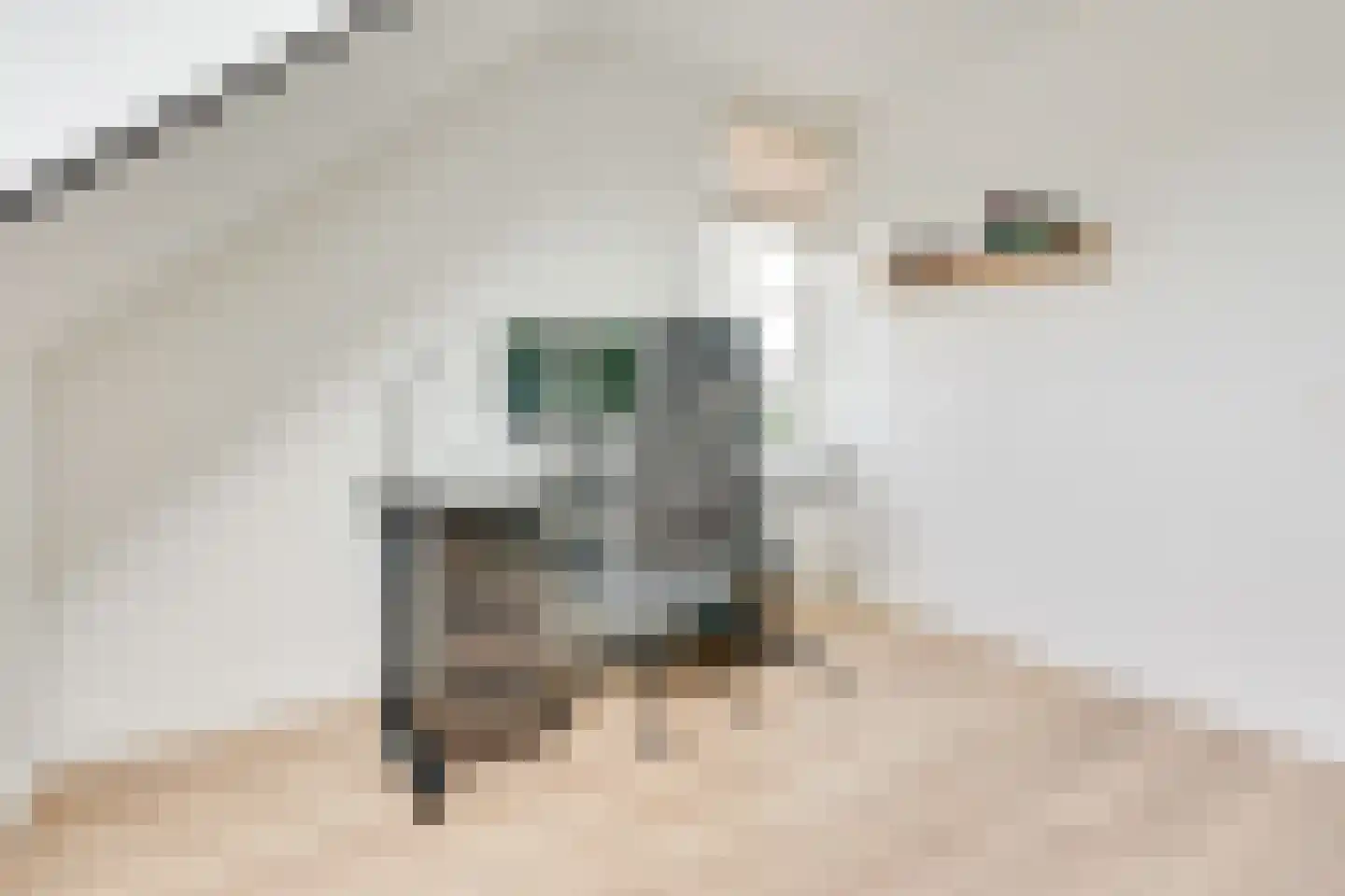 Nierdolk 4 Odijk thumbnail 39