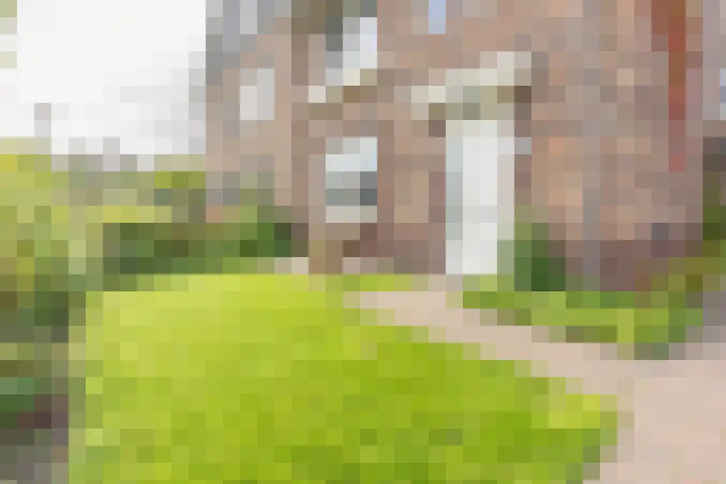 Nierdolk 4 Odijk thumbnail 42