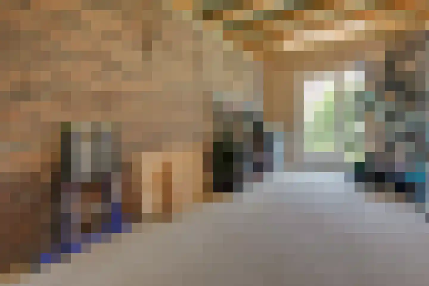 Nierdolk 4 Odijk thumbnail 45