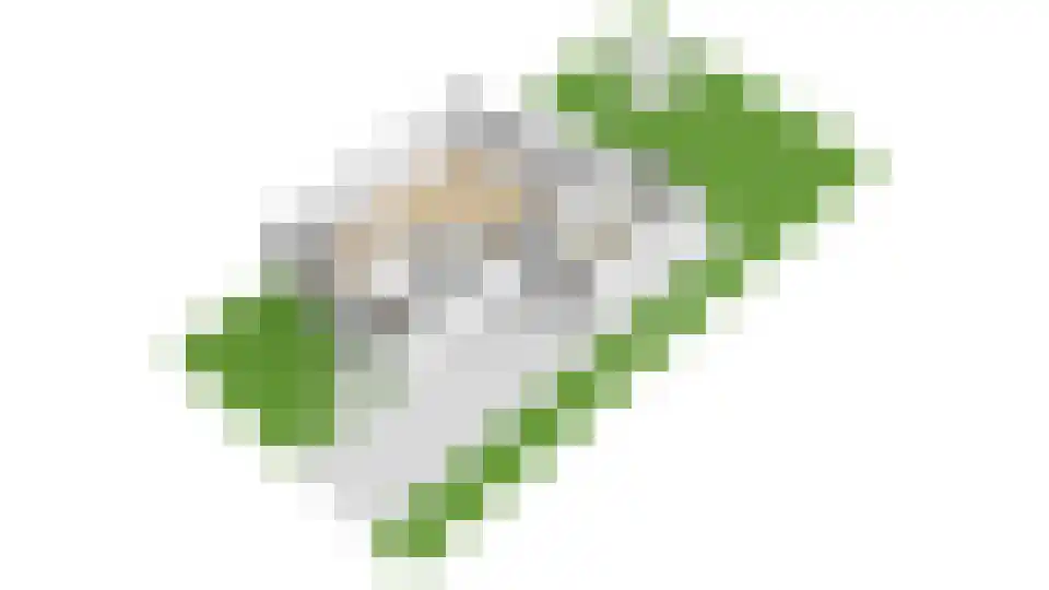 Nierdolk 4 Odijk thumbnail 53