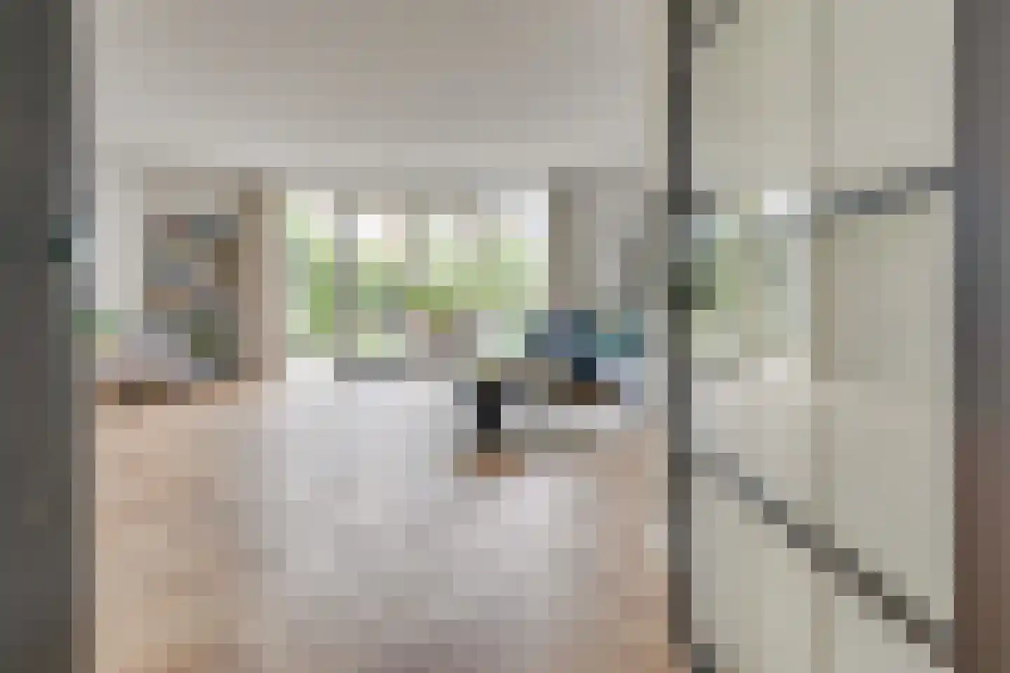 Nierdolk 4 Odijk thumbnail 8