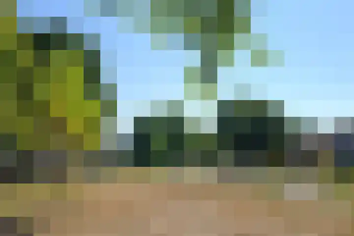 Nierhoven 16 Weert thumbnail 28