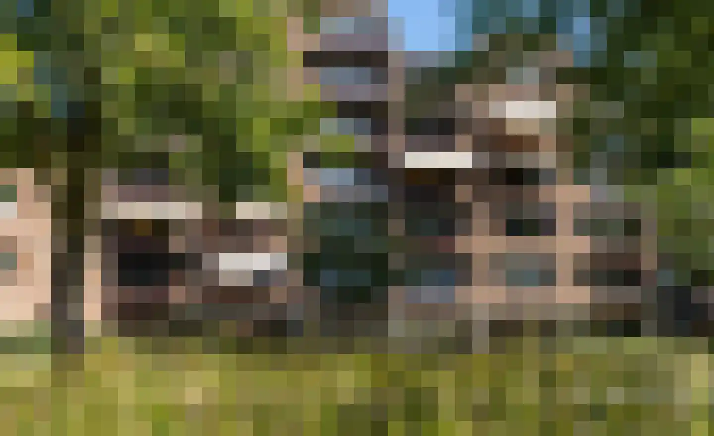 Niermansgang 43 Enschede thumbnail 5