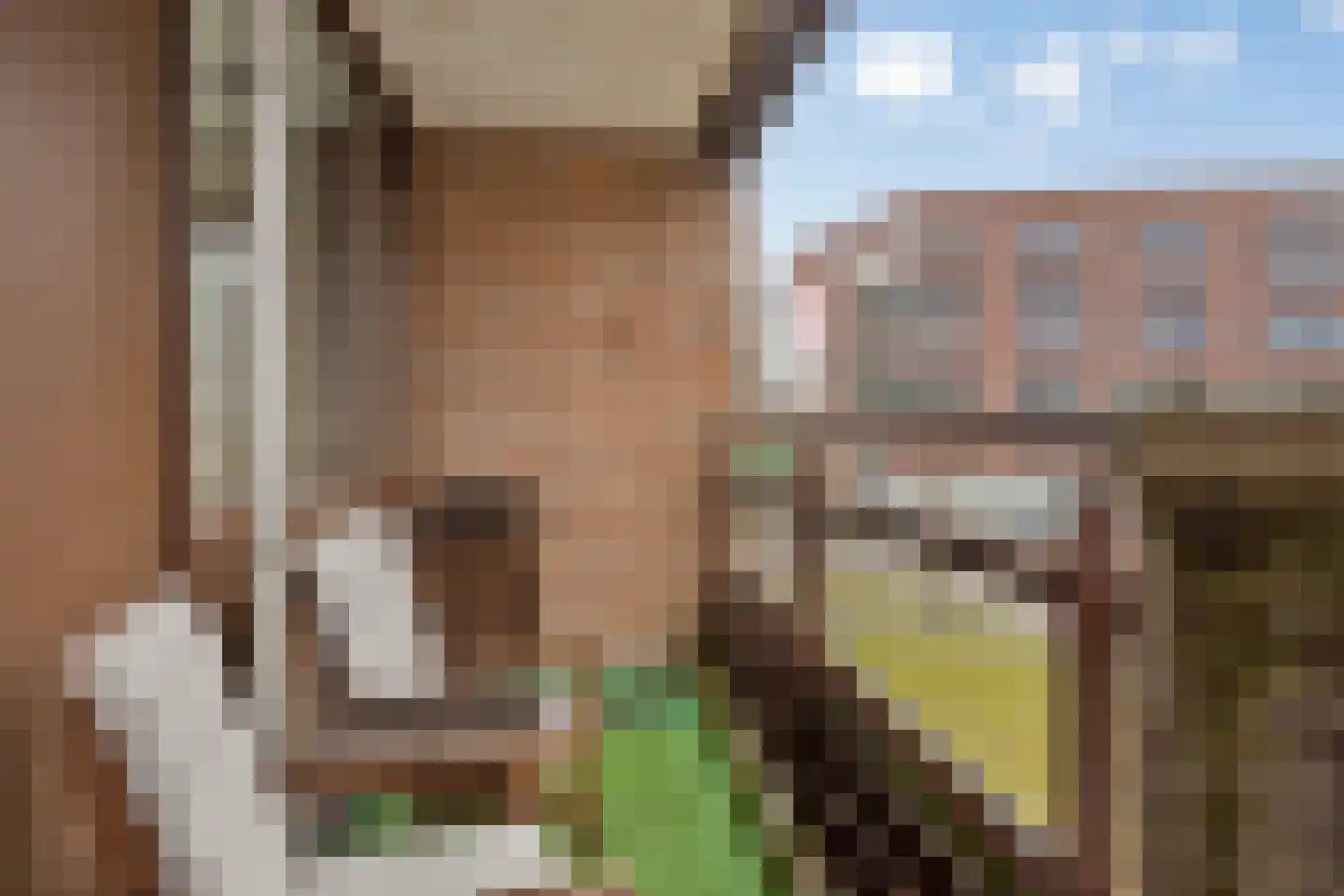 Niermansgang 83 Enschede thumbnail 4