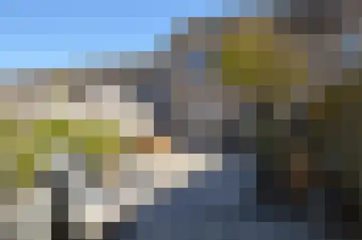 Niers 11 Deurne thumbnail 21