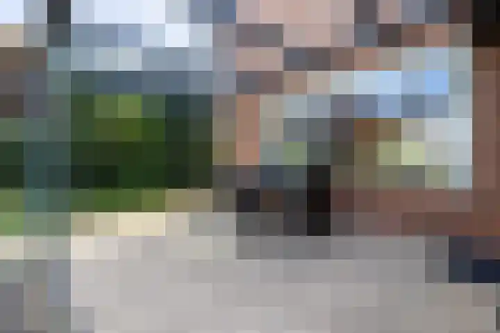 Niers 12 dans Tilburg
