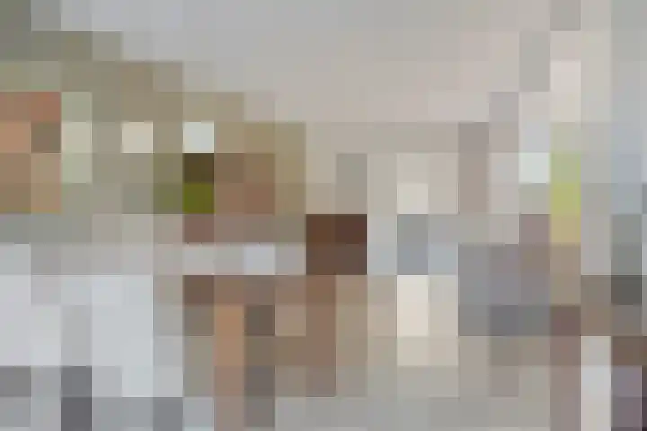 Niers 12 Tilburg thumbnail 10