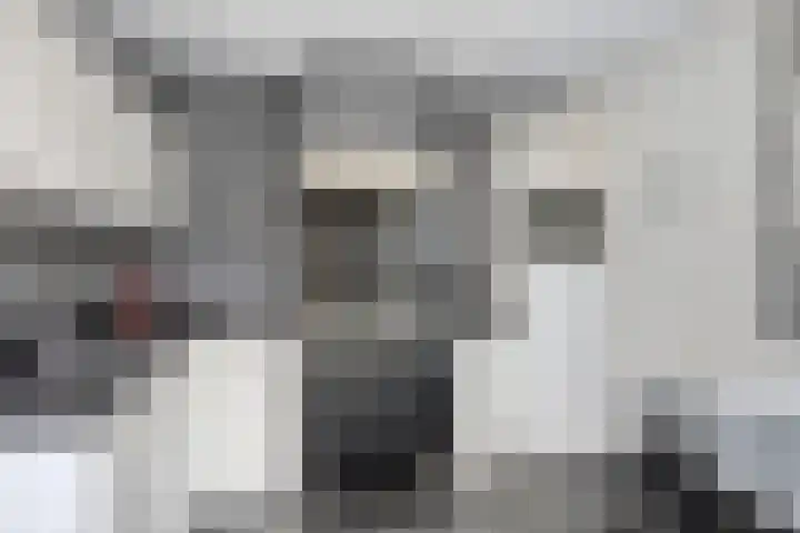 Niers 12 Tilburg thumbnail 14