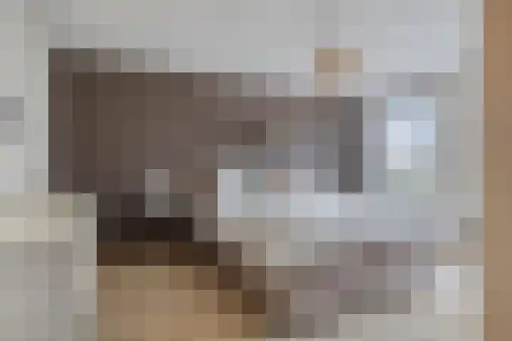 Niers 12 Tilburg thumbnail 17