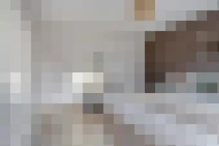 Niers 12 Tilburg thumbnail 19
