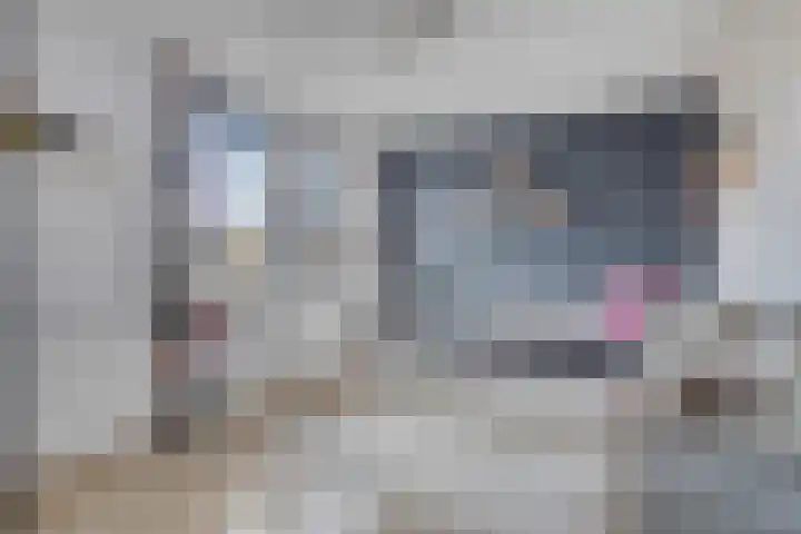 Niers 12 Tilburg thumbnail 22