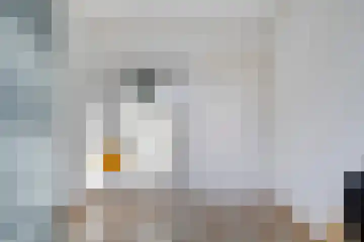 Niers 12 Tilburg thumbnail 25