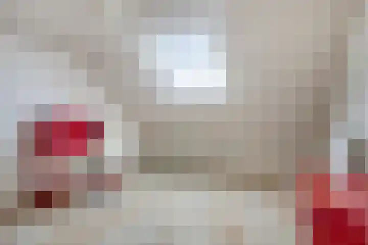 Niers 12 Tilburg thumbnail 27