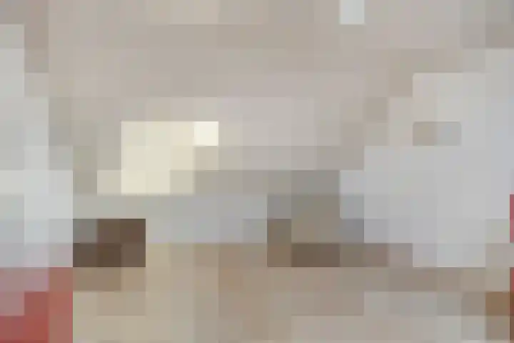 Niers 12 Tilburg thumbnail 28