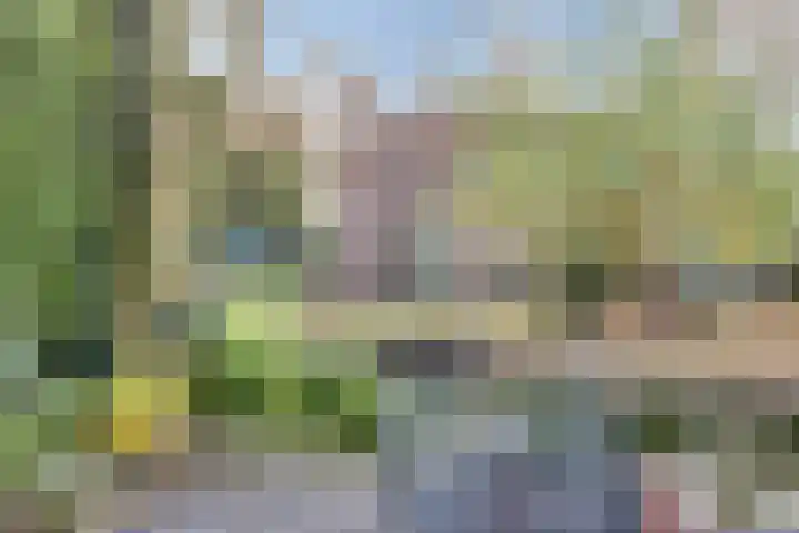 Niers 12 Tilburg thumbnail 31