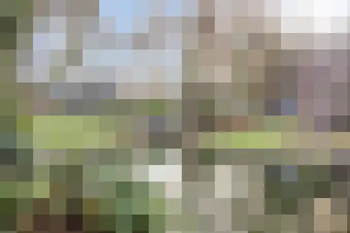 Niers 12 Tilburg thumbnail 4