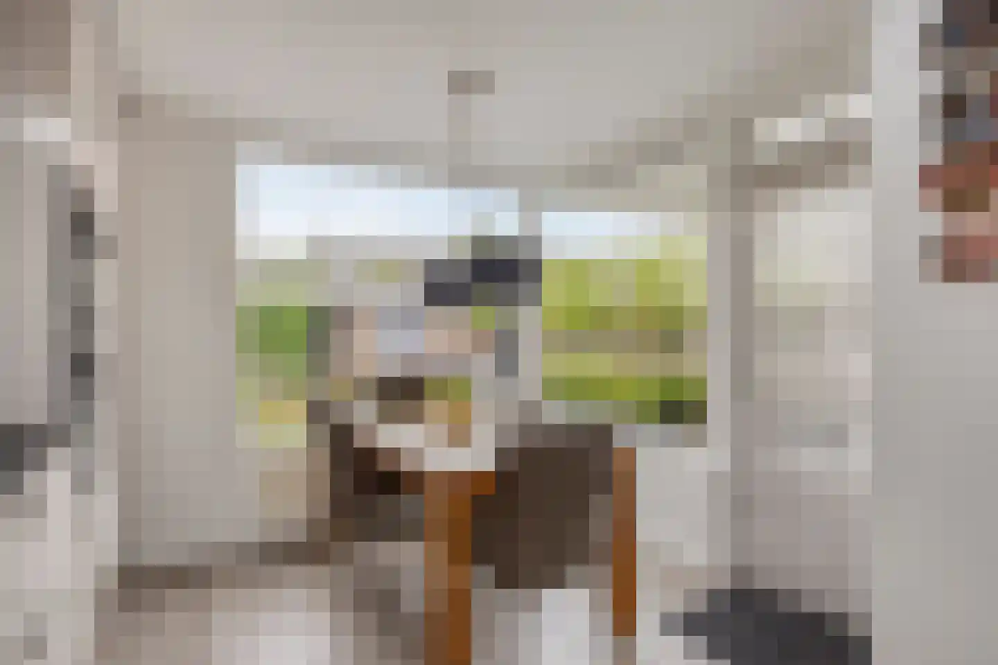 Niers 17 Tilburg thumbnail 10