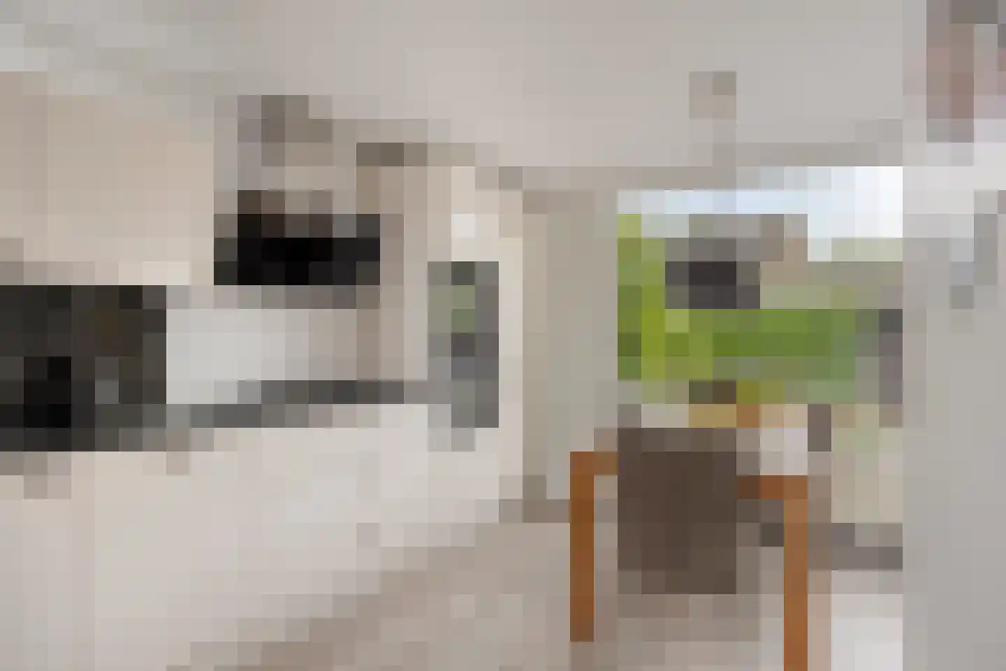 Niers 17 Tilburg thumbnail 11