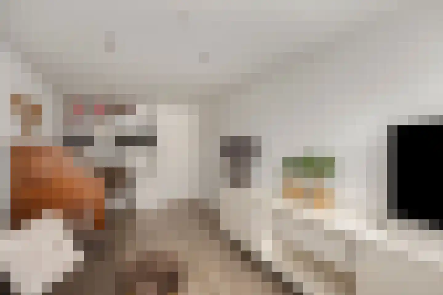 Niers 17 Tilburg thumbnail 13