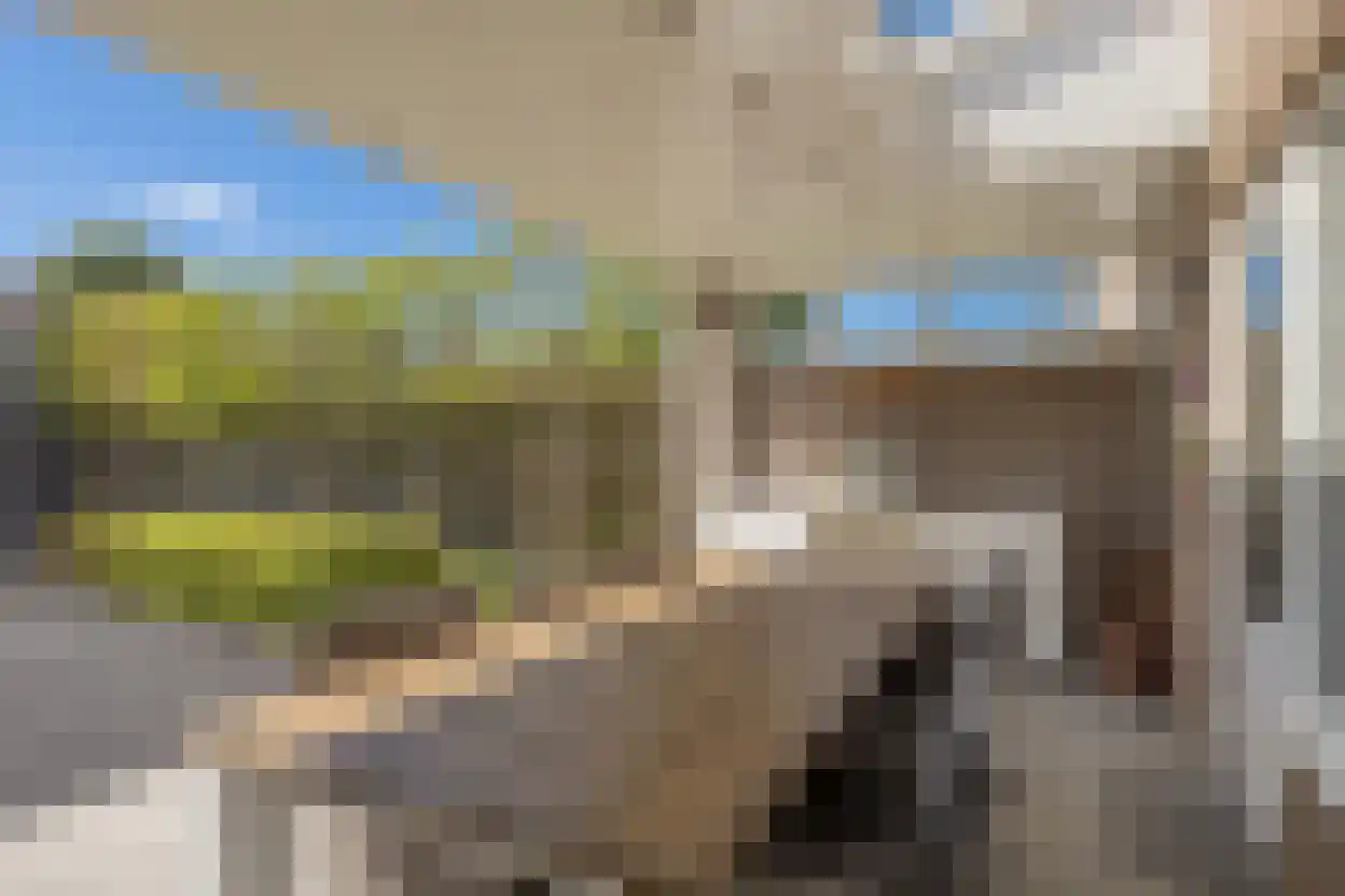 Niers 17 Tilburg thumbnail 31