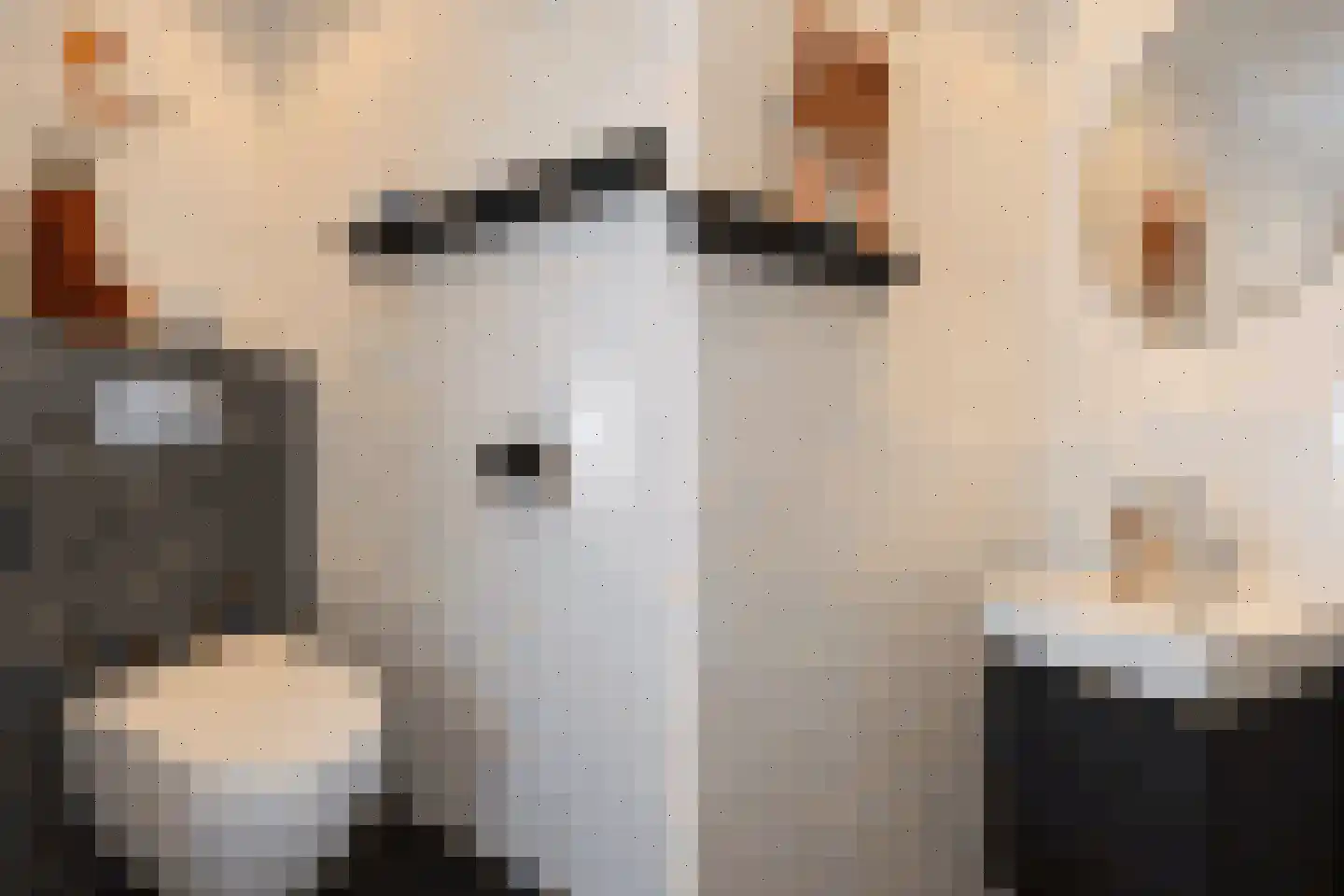 Niers 25 Deurne thumbnail 12