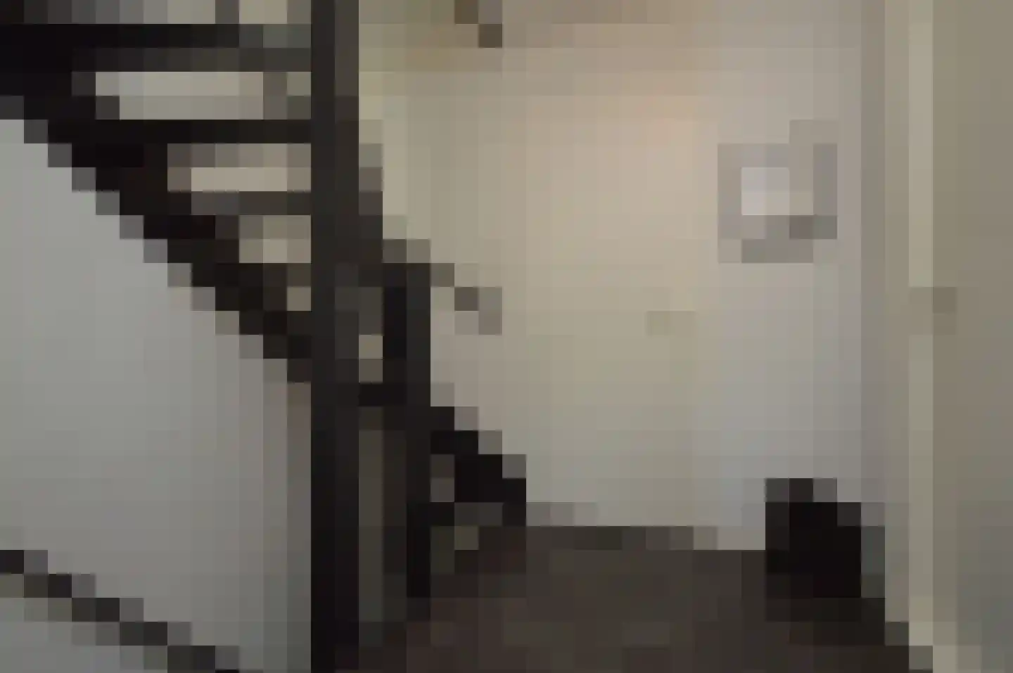 Niers 25 Deurne thumbnail 13