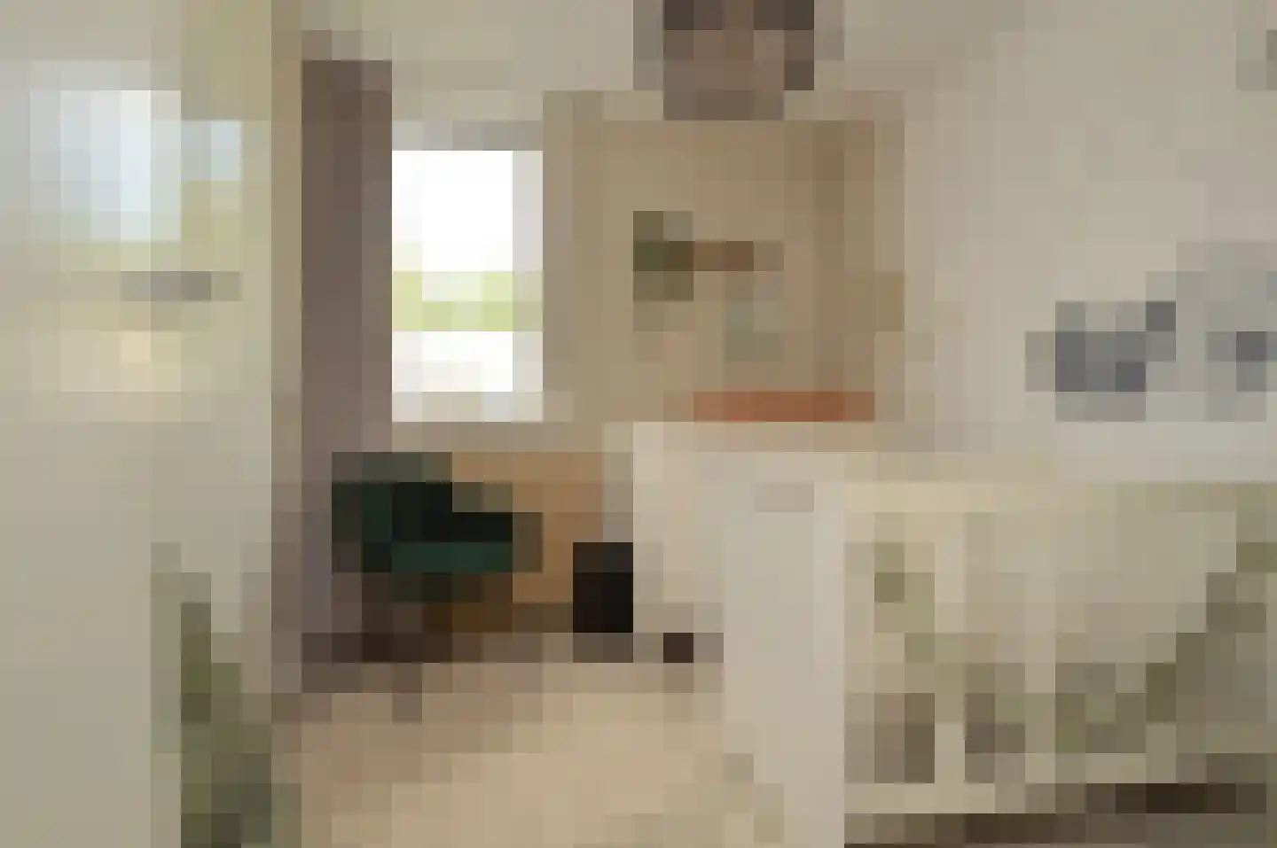 Niers 25 Deurne thumbnail 18