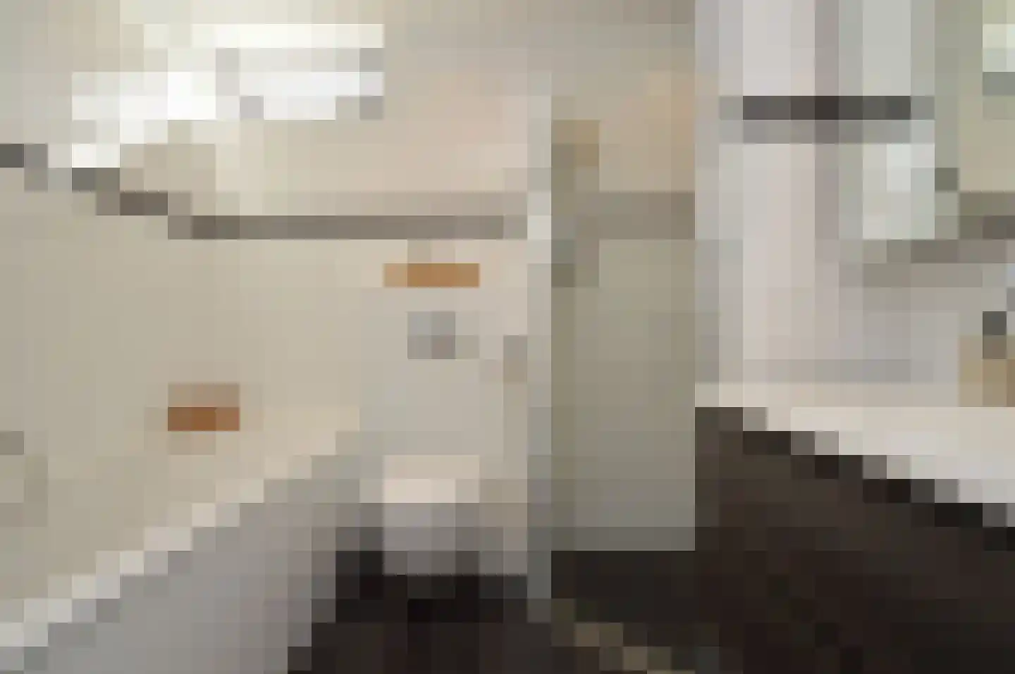 Niers 25 Deurne thumbnail 20