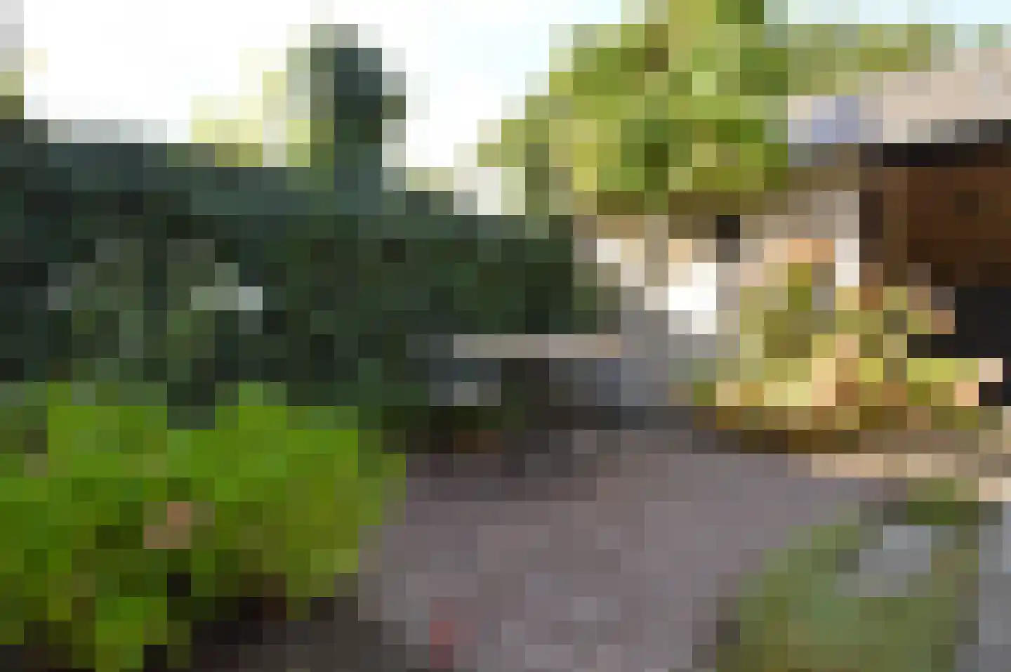 Niers 25 Deurne thumbnail 27