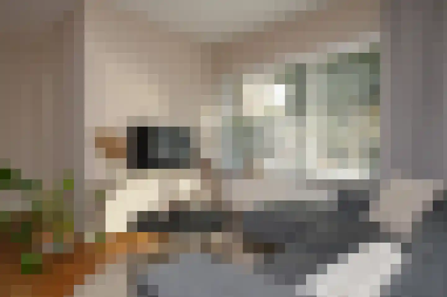 Niers 25 Deurne thumbnail 8