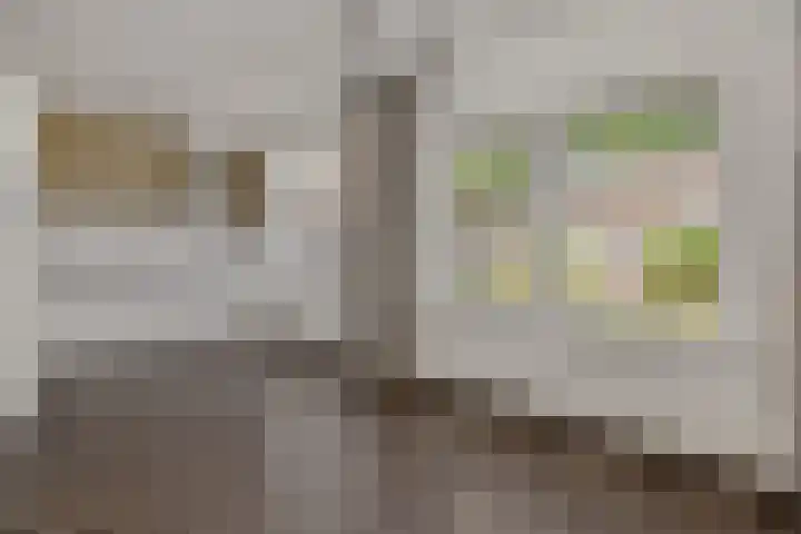 Niers 29 Deurne thumbnail 14