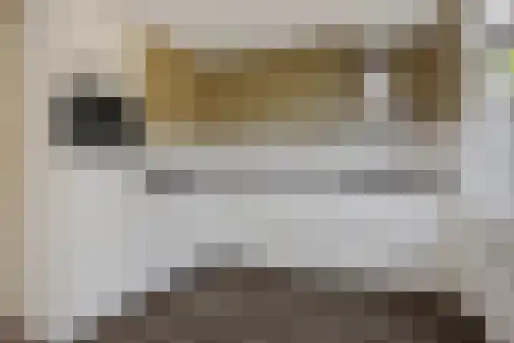 Niers 29 Deurne thumbnail 15
