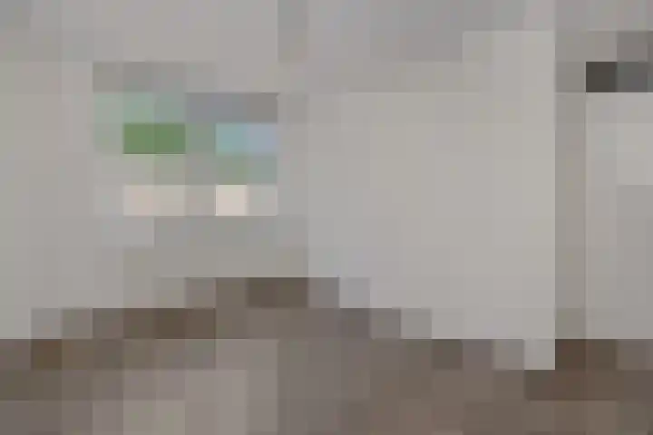 Niers 29 Deurne thumbnail 17