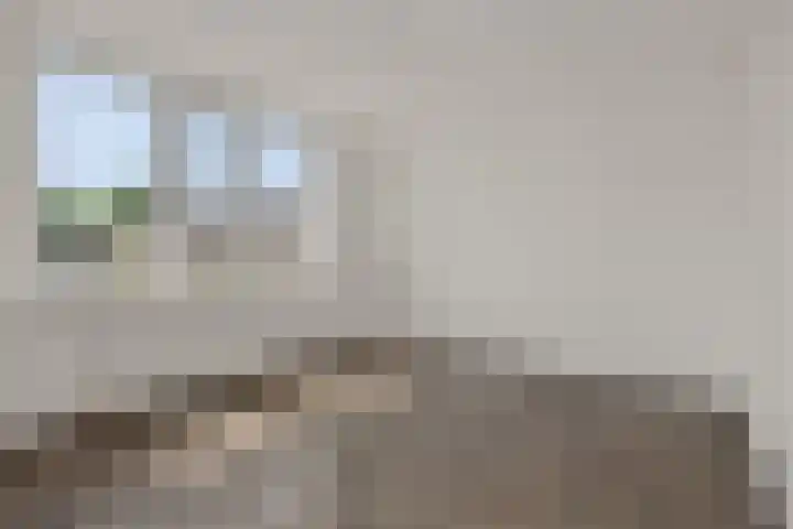 Niers 29 Deurne thumbnail 19